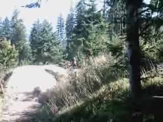 Lac Blanc - Endless Summer