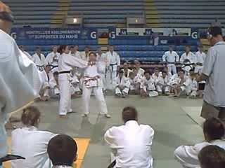 Bridge Placement pour tai otoshi