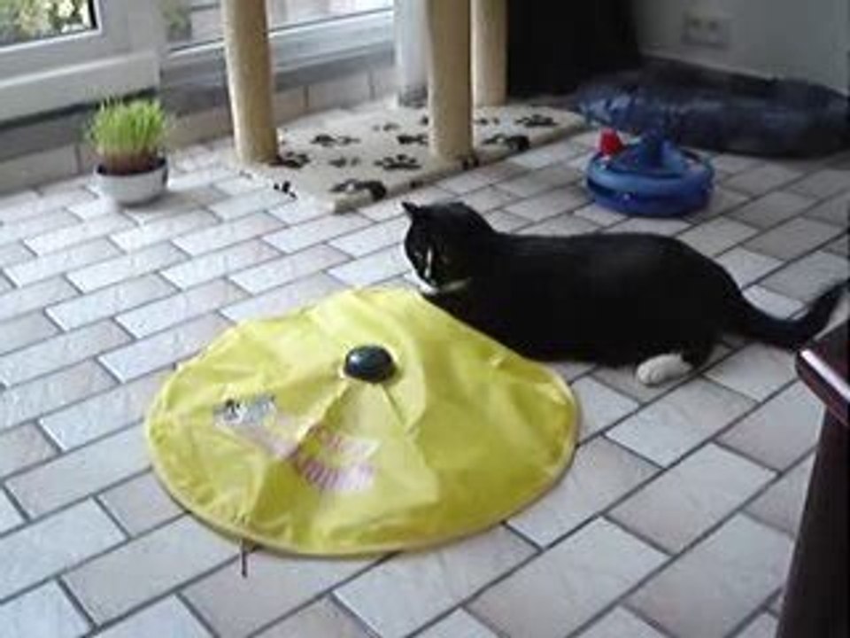 La souris Incognito (2)