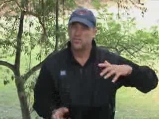 Show Me The Money - Choose the Best MLM Mentor