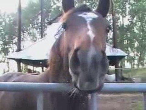 gernika (proloog) op rood|noot