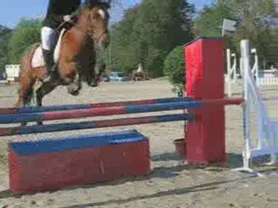 MVI_2393