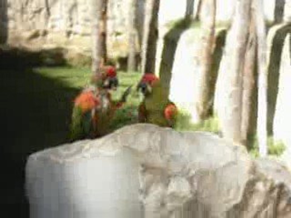 ZOO DOUE LA FONTAINE 1