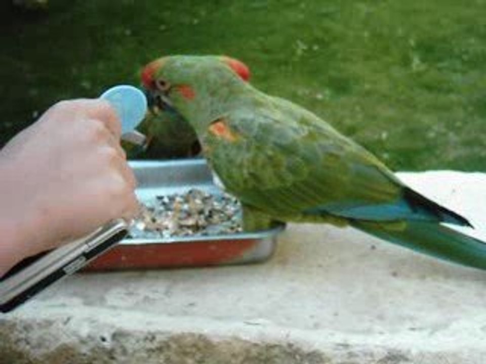 ZOO de Doué la Fontaine 2