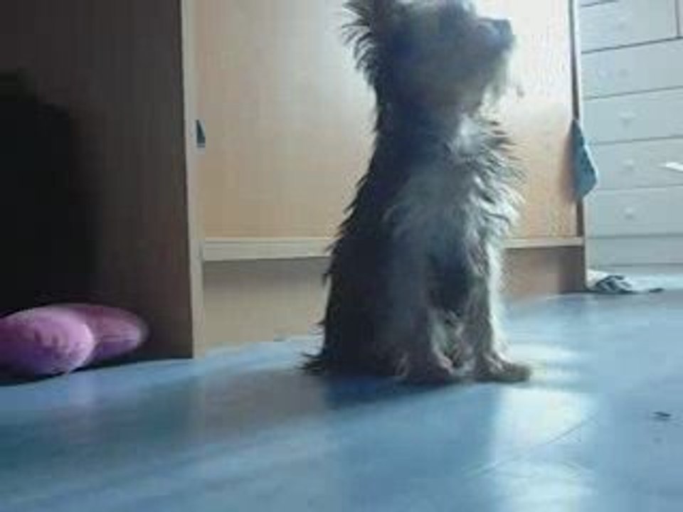 Easy ses début assis coucher