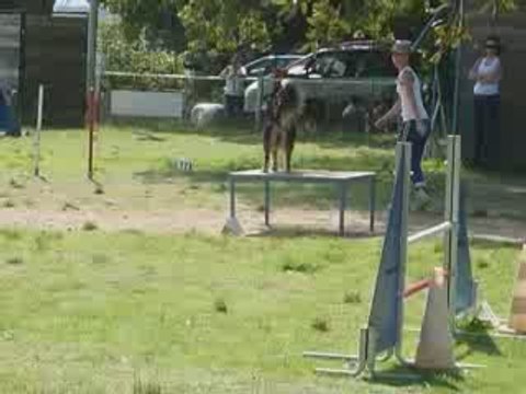 Angie - 1er degré Brignoles