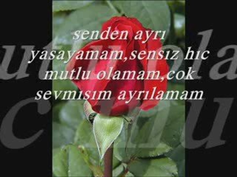 Ay Parcam Gulum Sevdigim ilahi