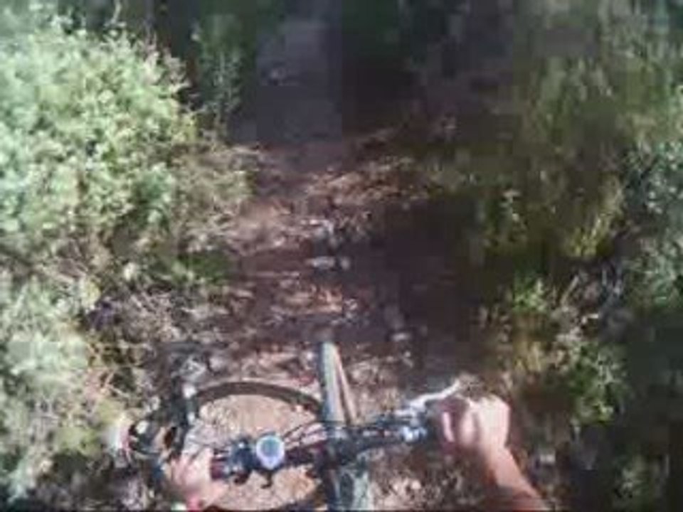 Vétathlon de la navarre