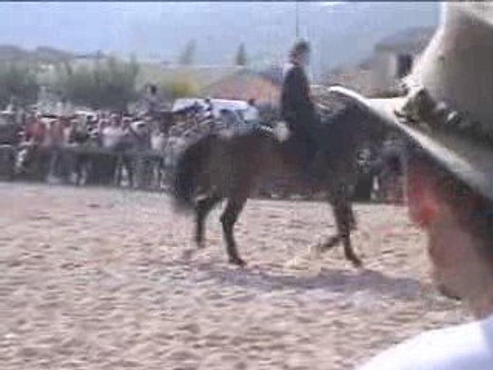 cheval dressage et voltige