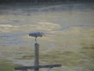 419 Columbia Ave. Coulee Dam, WA 99116  Waterfront View Home