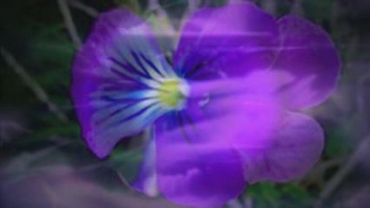 Améthyste - 3/15 Histoires Courtes de Jean Yves MATYNIA