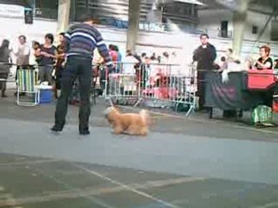 expo 4
