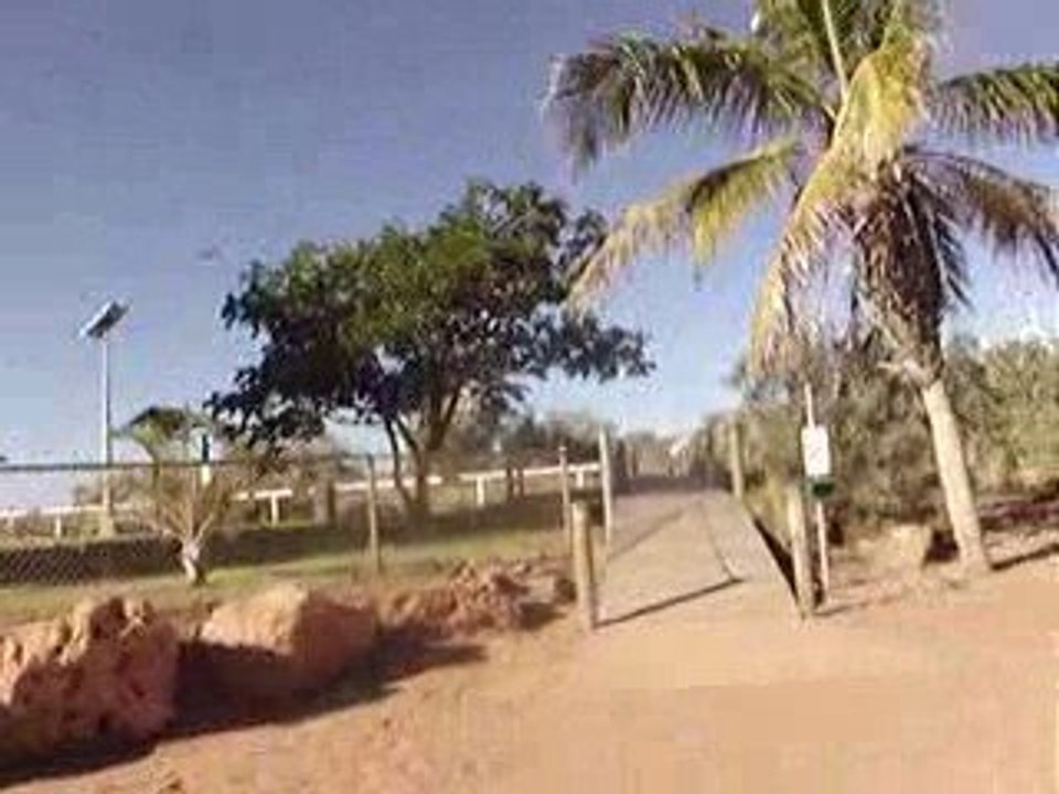 22 09 2009 - White parrots on Sunset Beach (Onslow)