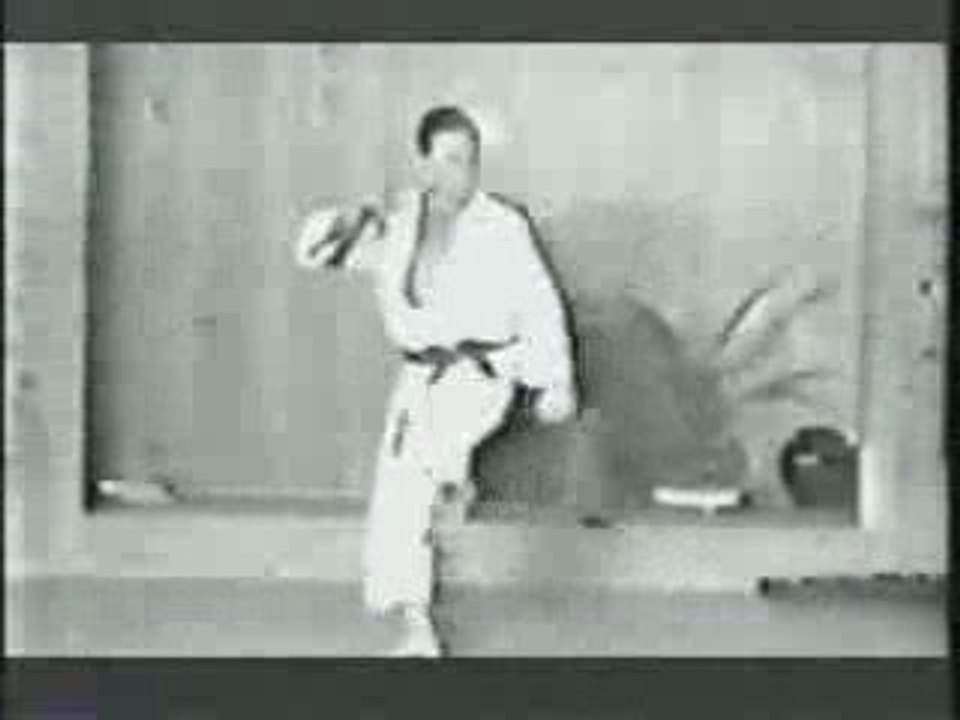 Warrior Pages: Taira Shinken Tonfa Kata