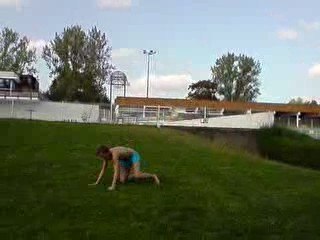 salto avan de l'artiste