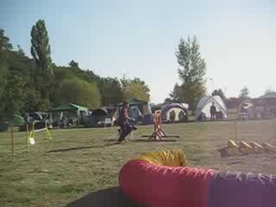 Jumping 3 large: Jörg und Zebu