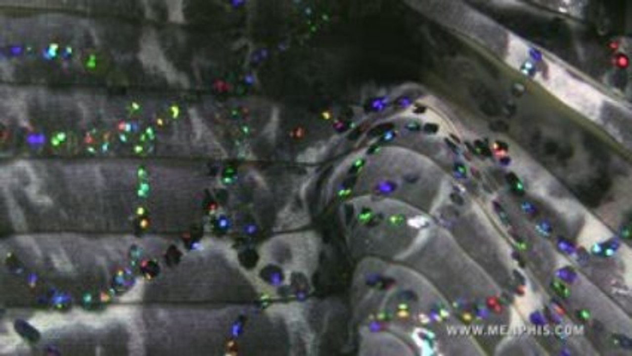 Olografica - Menphis