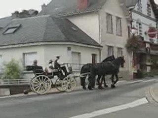Sucé sur Erdre : calèche