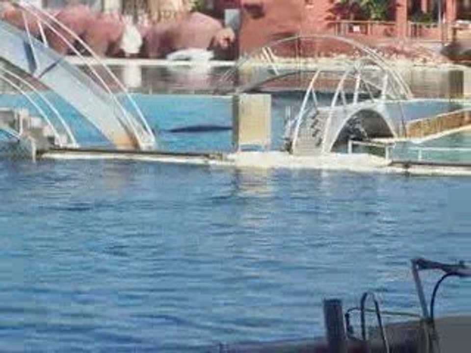 marineland part 1