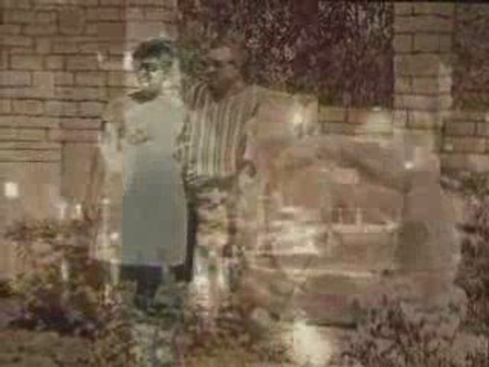 ריגעי אושר - תמונות מחיינו