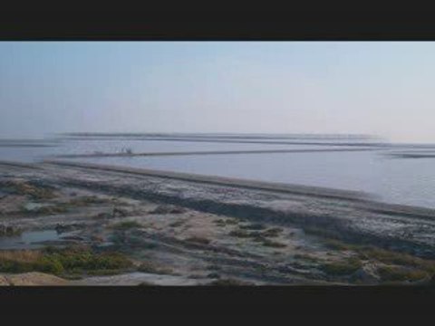 des st maries de la mere a arles