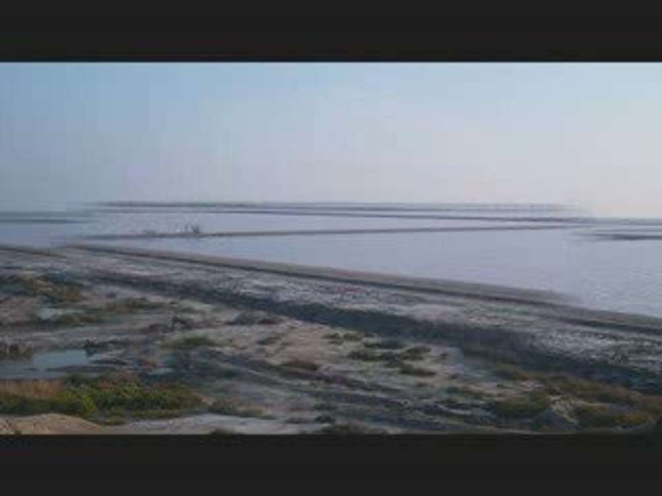 des st maries de la mere a arles