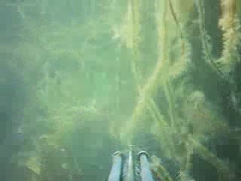 zoé la seiche