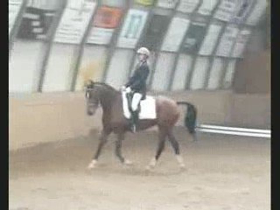 dressage deuxième degré