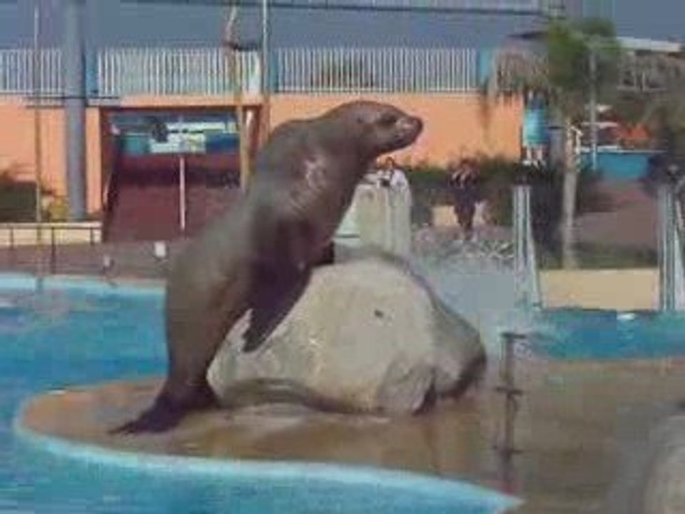 MARINELAND part 6