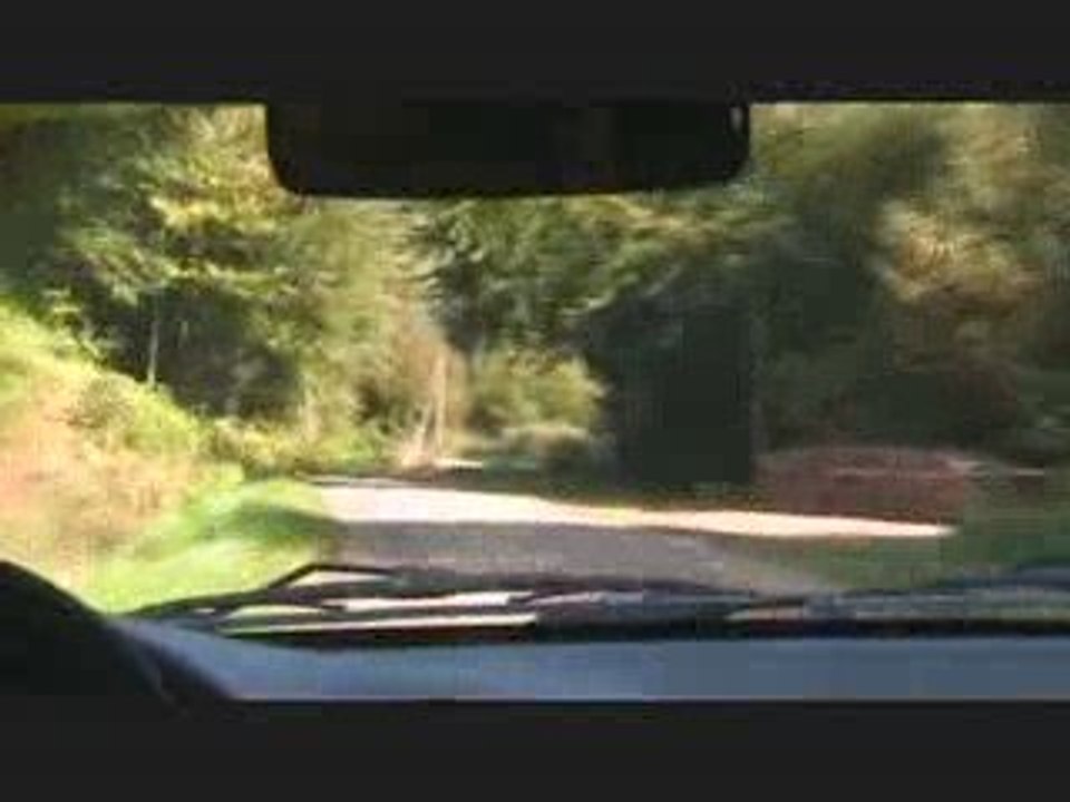 rallye de la chataigne delaporte eric /dupuy dominique