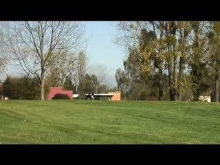 Le Printemps des Bonzaïs - Il faut vouloir le faire - MNB