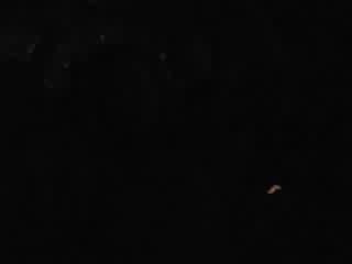 Gally sur l'intro epileptique de CM pute !