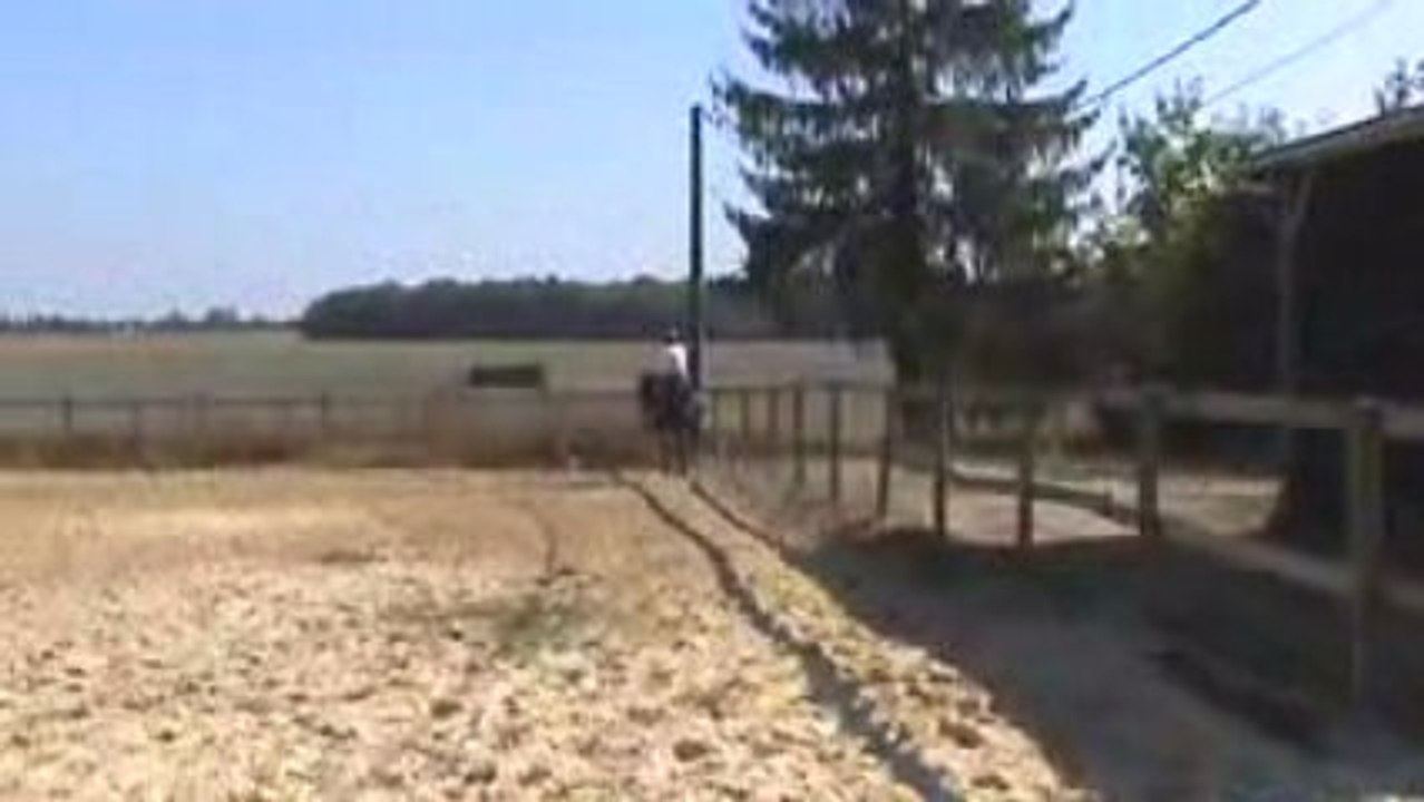 M2U00121 Le Carl