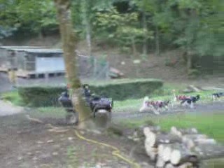 Du Fur Rendez Vous kennel : sortie pour un entrainement .