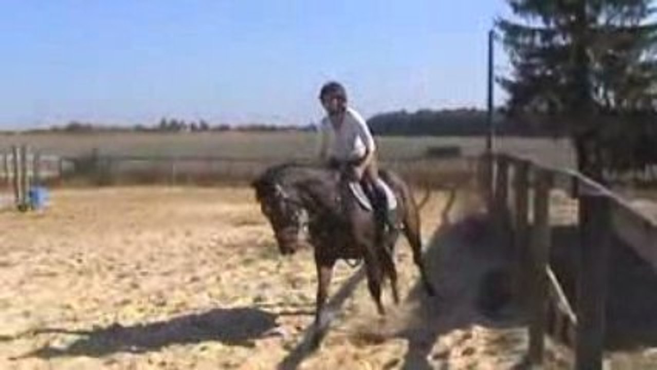M2U00123 Le Carl 3
