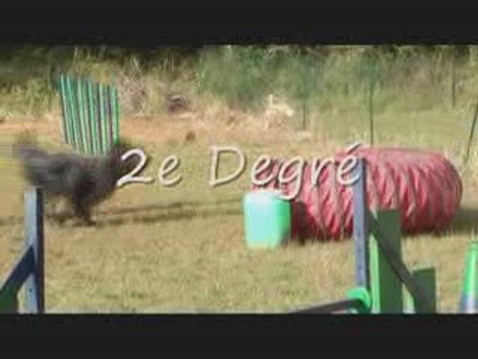 Umberto Agility  Roquefure