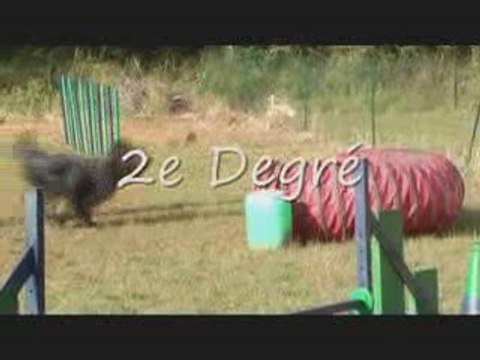 Umberto Agility Roquefure