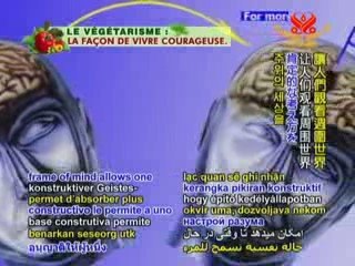 How We Think Determines What We See - An Interview with Tayl