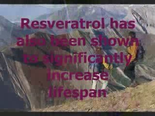 Buy Resveratrol Supplements