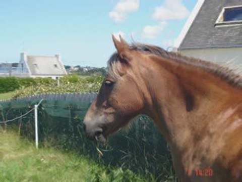 et moi je t'aime encore plus fort