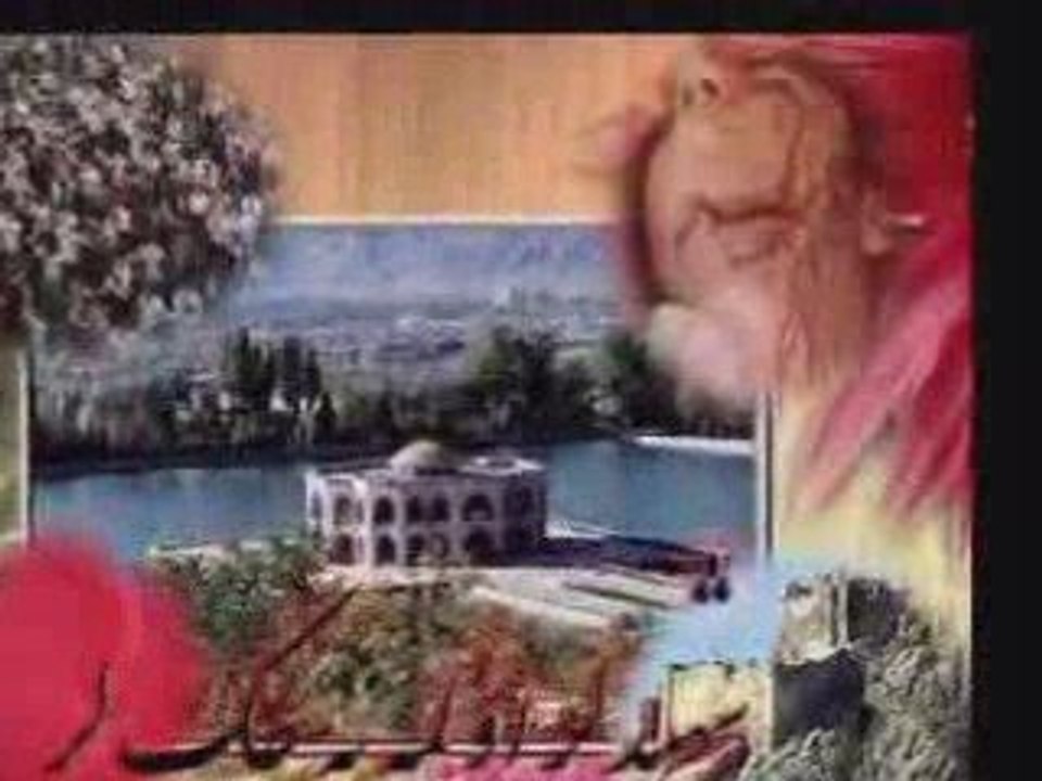 Deli Kanlı Türkleriz (Araz Elses) آذربایجان جنوبی آراز السس