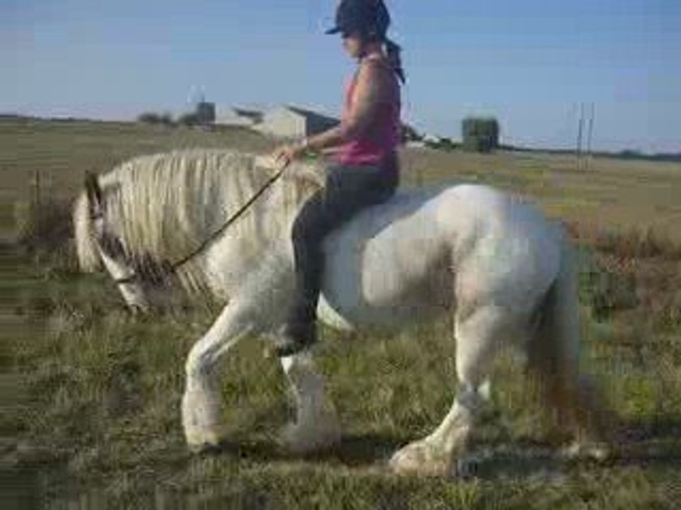 au trot à cru sur Flann pendant la balade