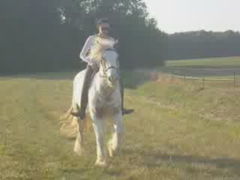 cousine au galop à cru avec mon Flanby