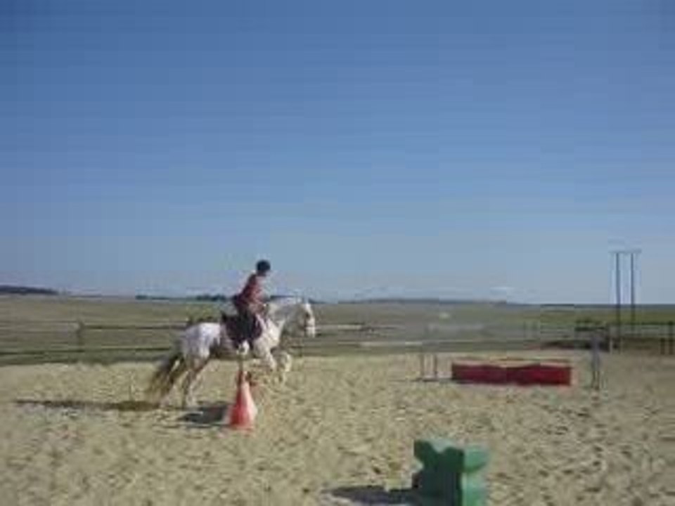 chute de cheval. Flann séance d'obstacle