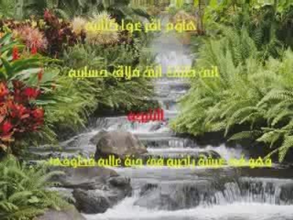 Facebook - حبيب النبى