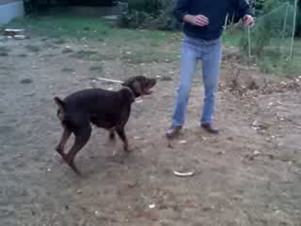 Darko (2)