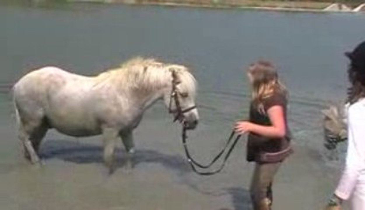 fête du vent 2009 nailloux bain des poneys