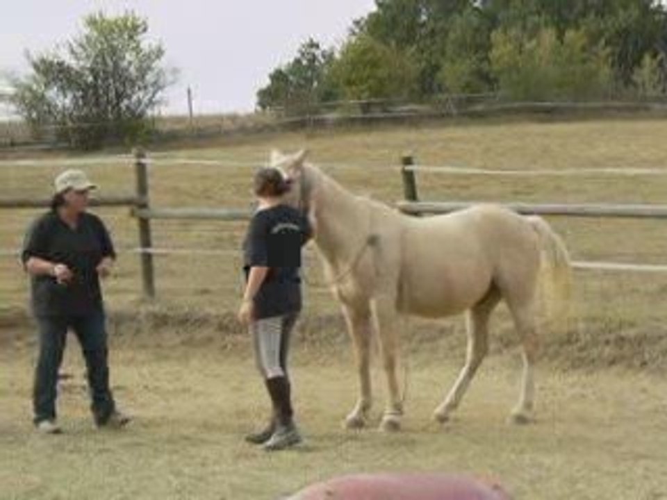 Sept2009 079