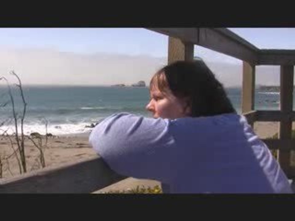 Elephant Seals Sept. 2009