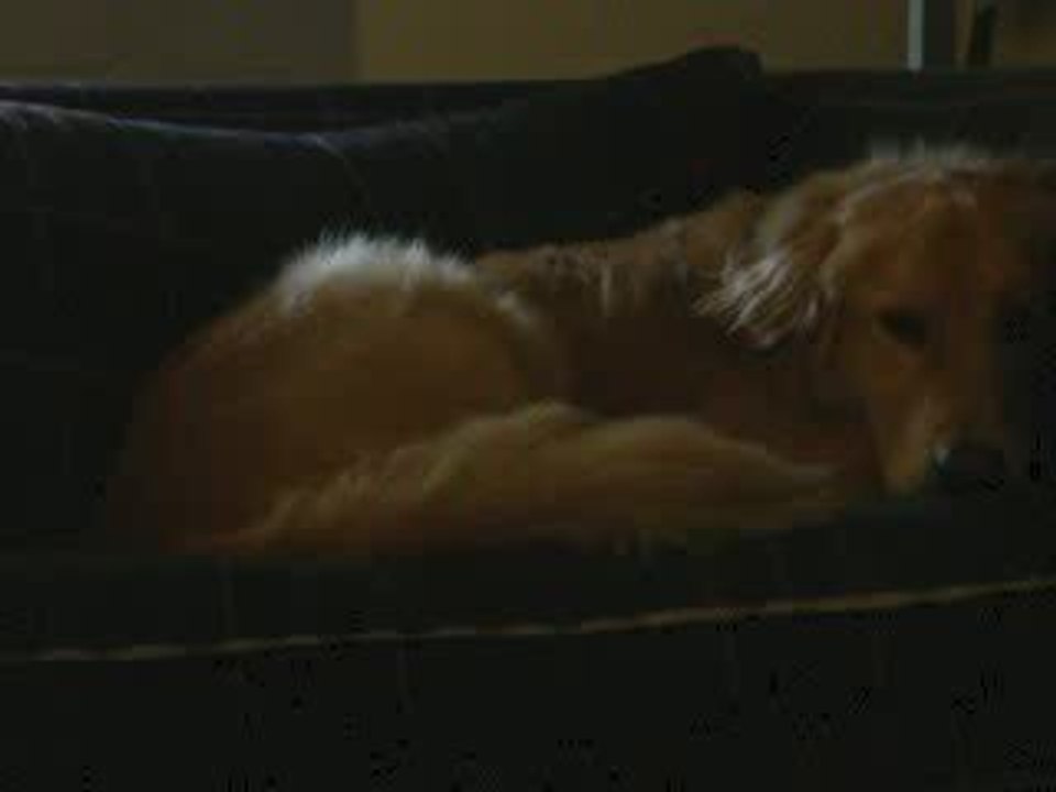 Lullabye